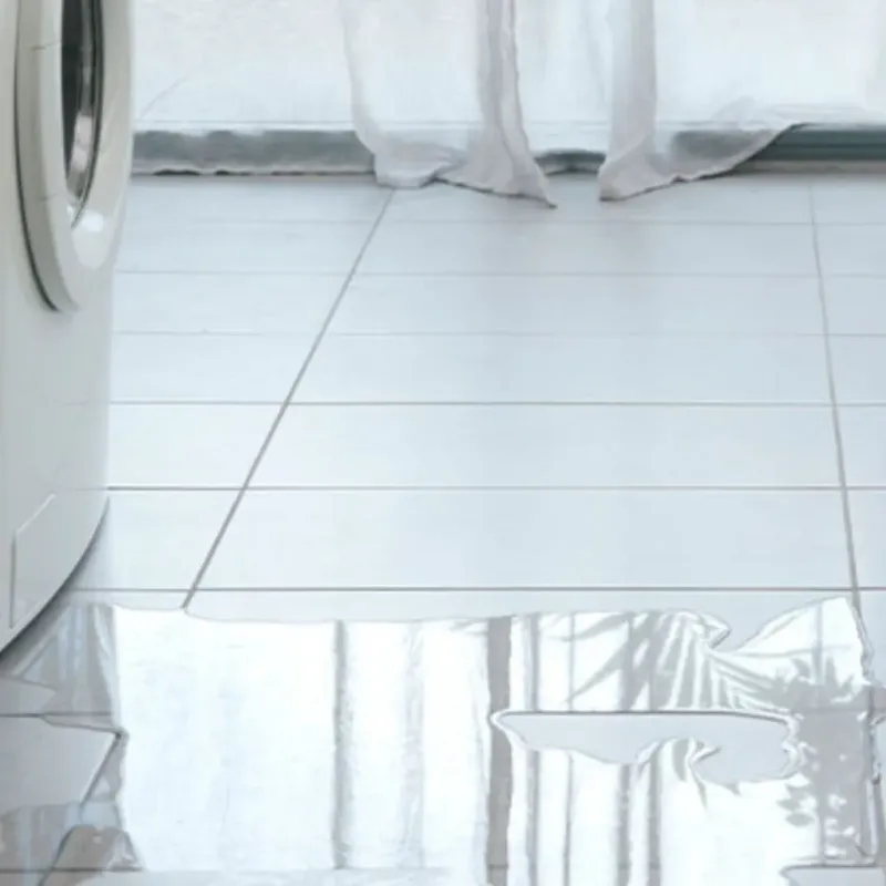 Appliance Leak Cleanup in Daviess County, IN