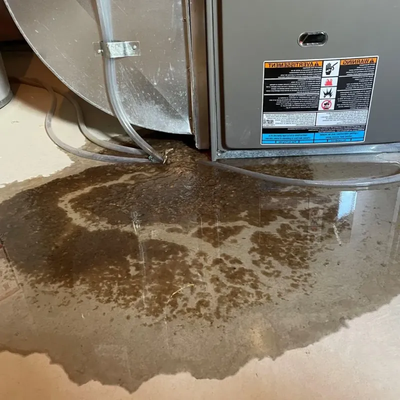 Pipe Burst and Leak Restoration in Daviess County, IN