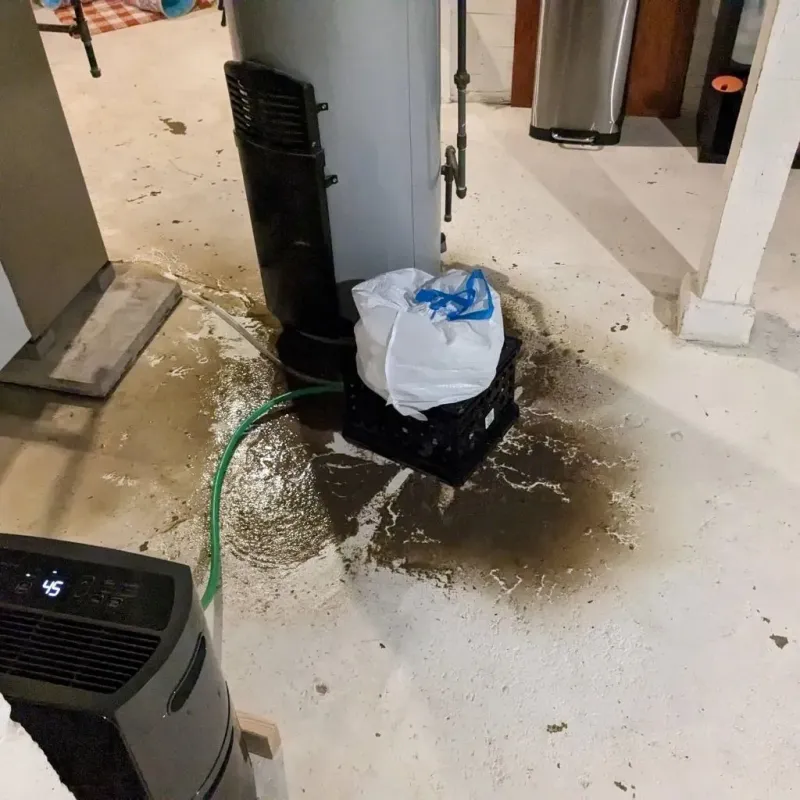 Sewage Backup Cleanup Service in Daviess County, IN